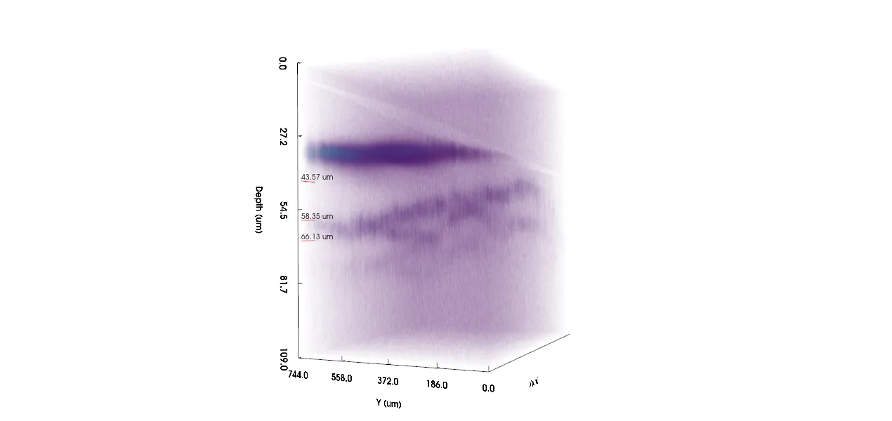 graph: FF-OCT results, noise-corrected